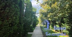 Большая студия в комплексе Orchid Fort Garden